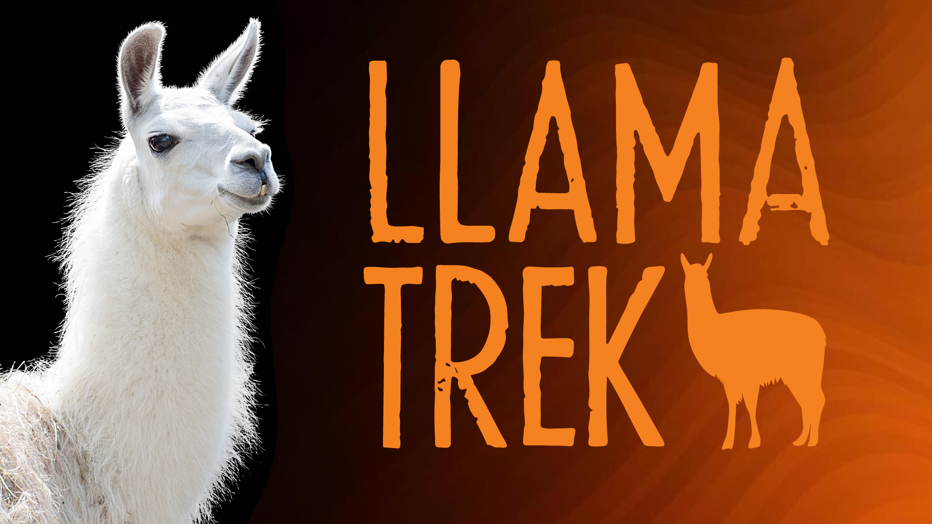 Logo for Llama Trek featuring smiling llama