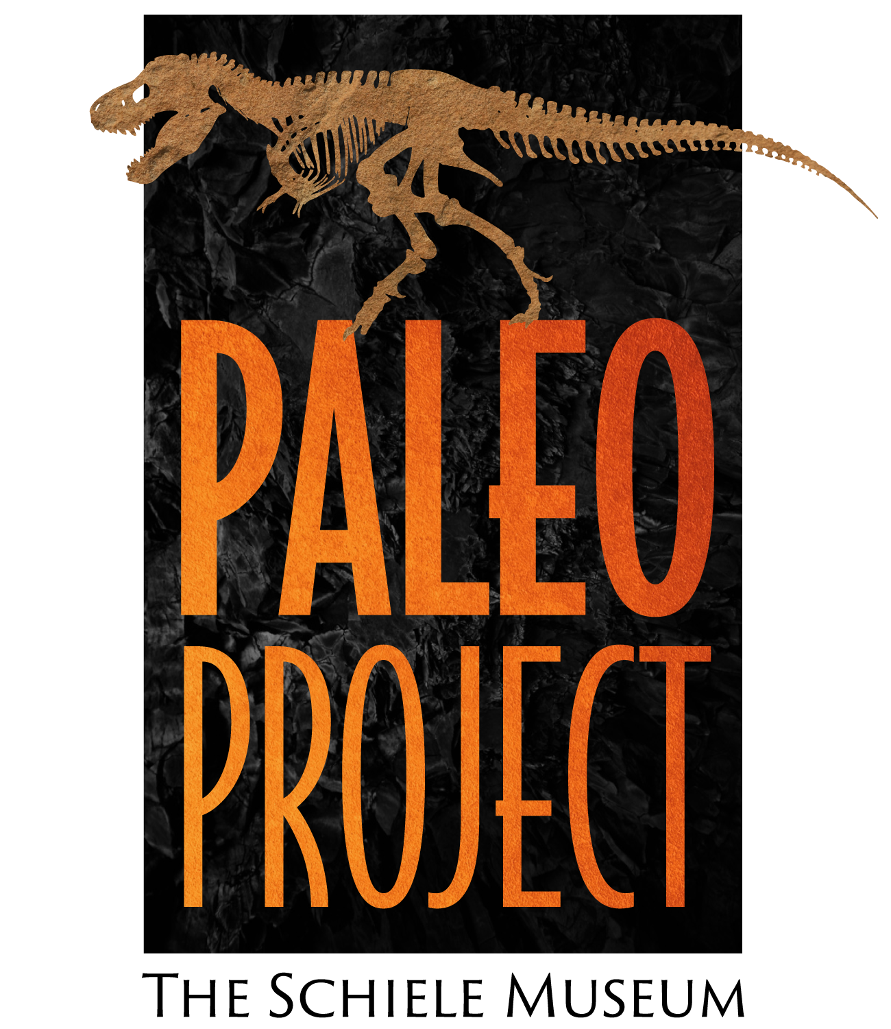 Paleo Project and T rex image